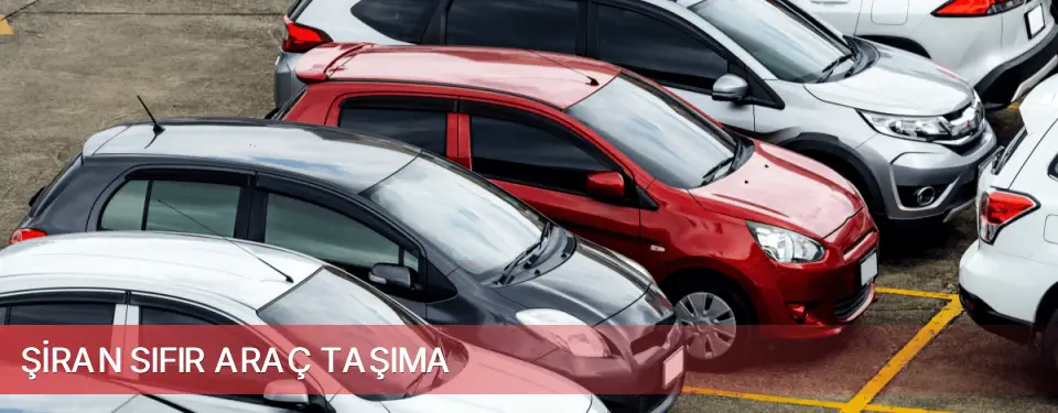 Şiran İlçemi Sıfır Araç Taşıma